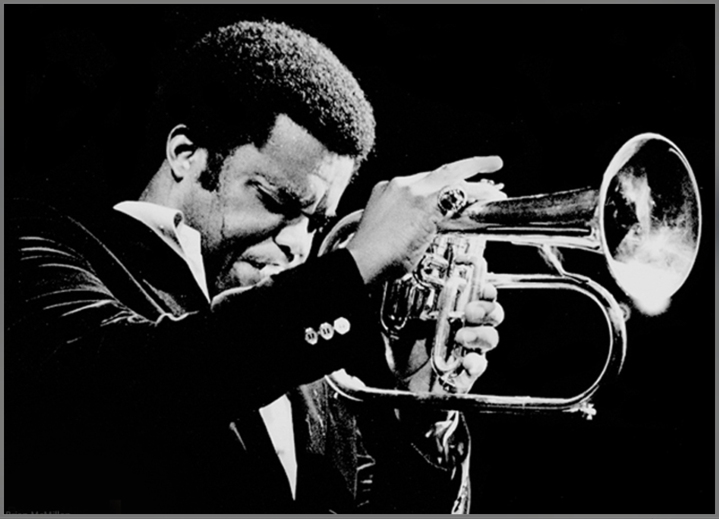 50 Famous Jazz Musicians 50 Amazing Jazz Artists You Must Hear 50 Famous Jazz Musicians 50 Amazing Jazz Artists You Must Hear