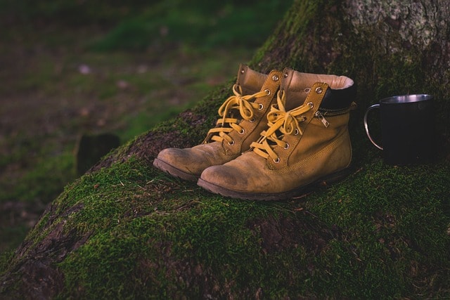 boots, shoes, moss