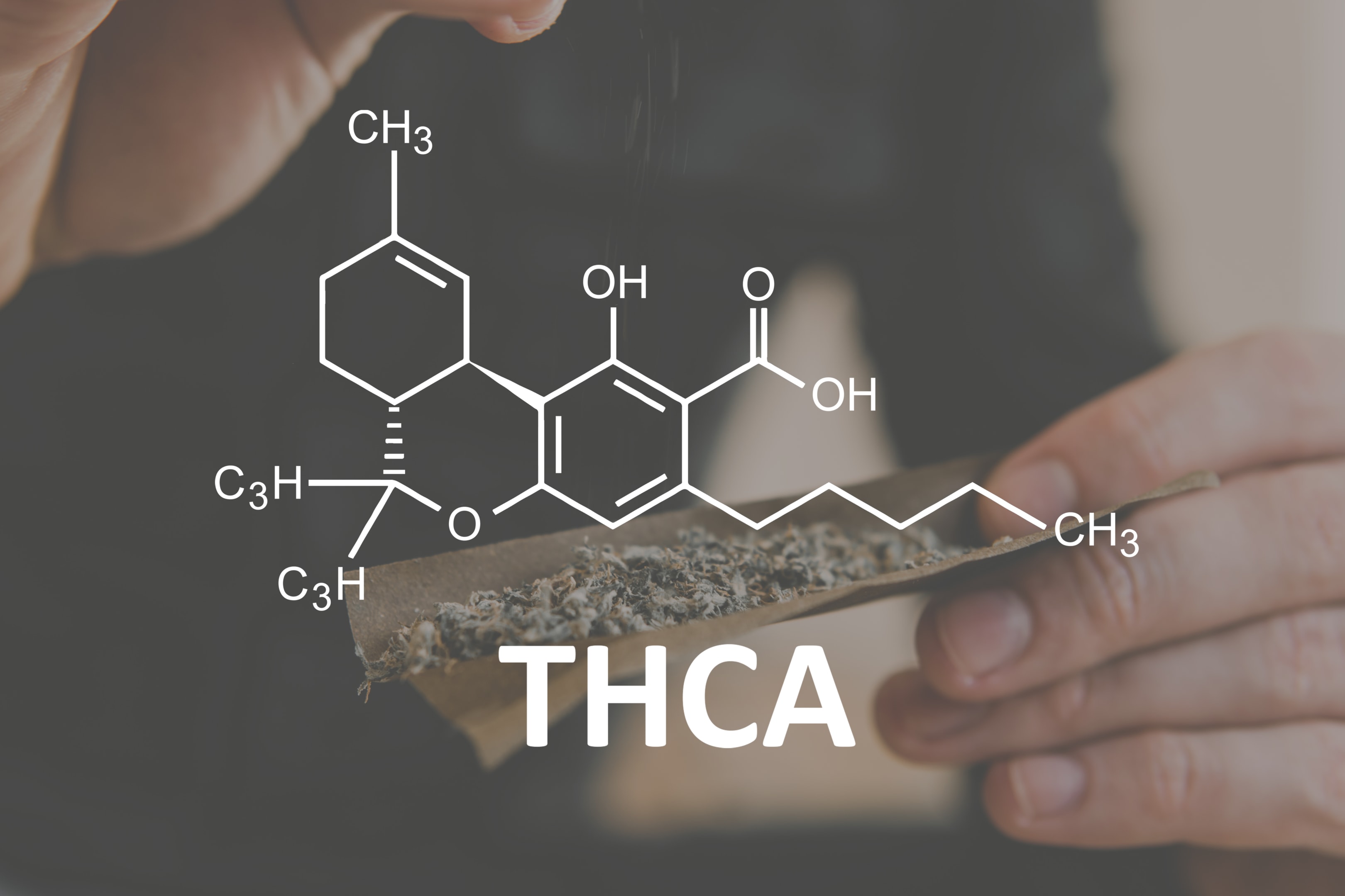Enhance Your Summer Activities with THCA Flower