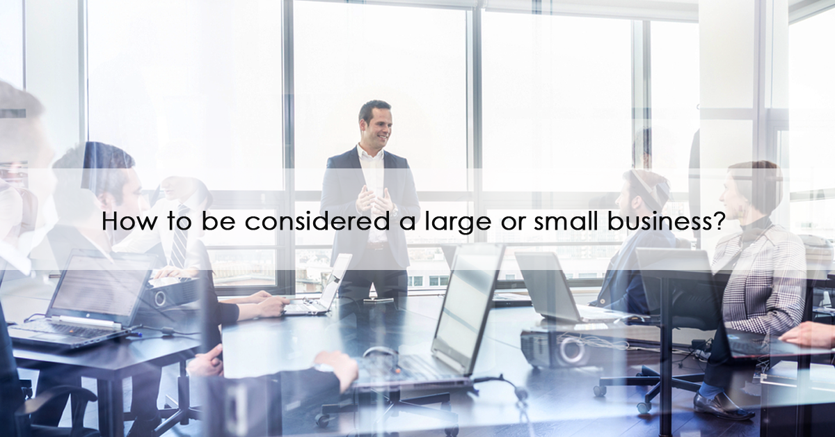 How to be considered a large or small business?