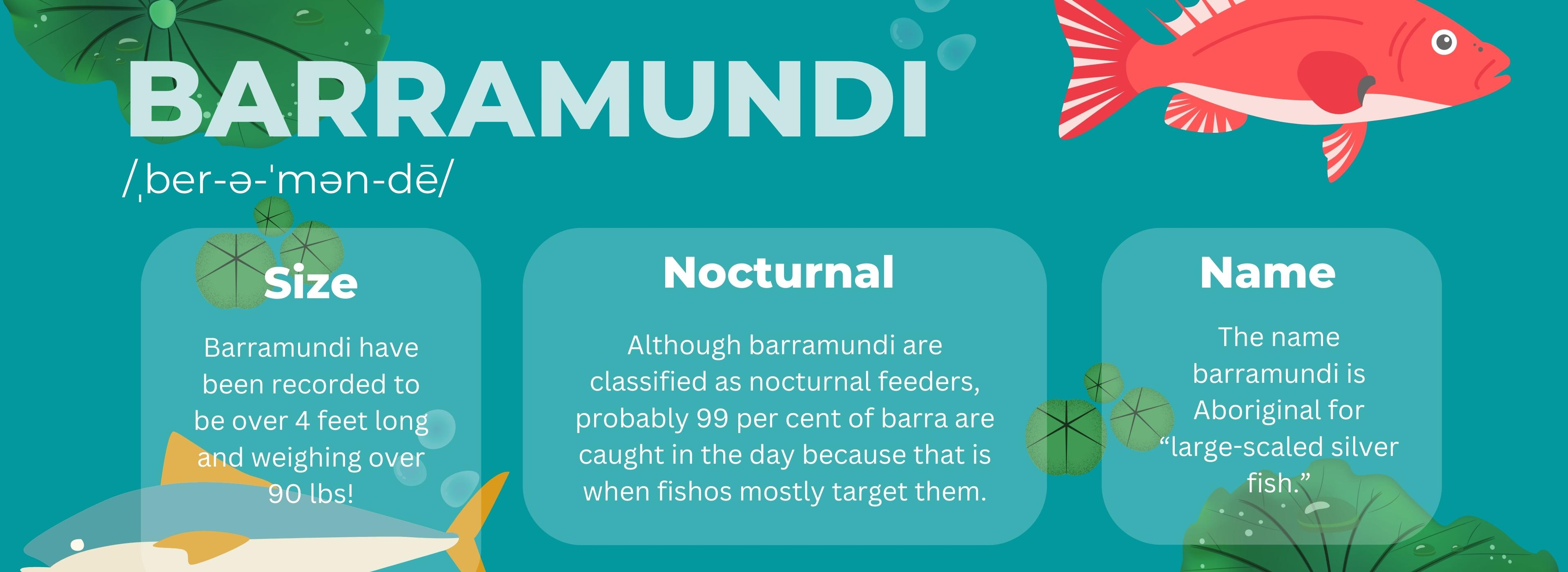 The Forgotten Secrets To Catching Barramundi