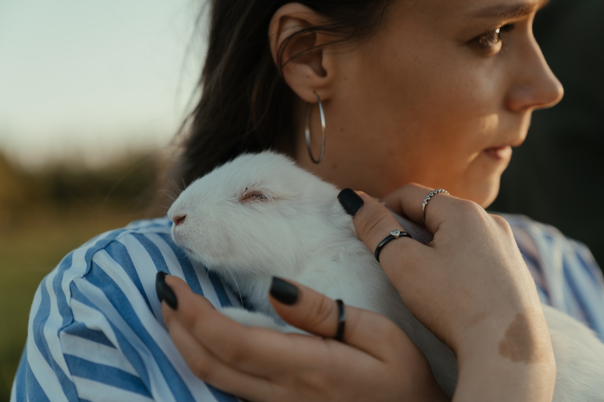 Rabbits As Emotional Support Animals