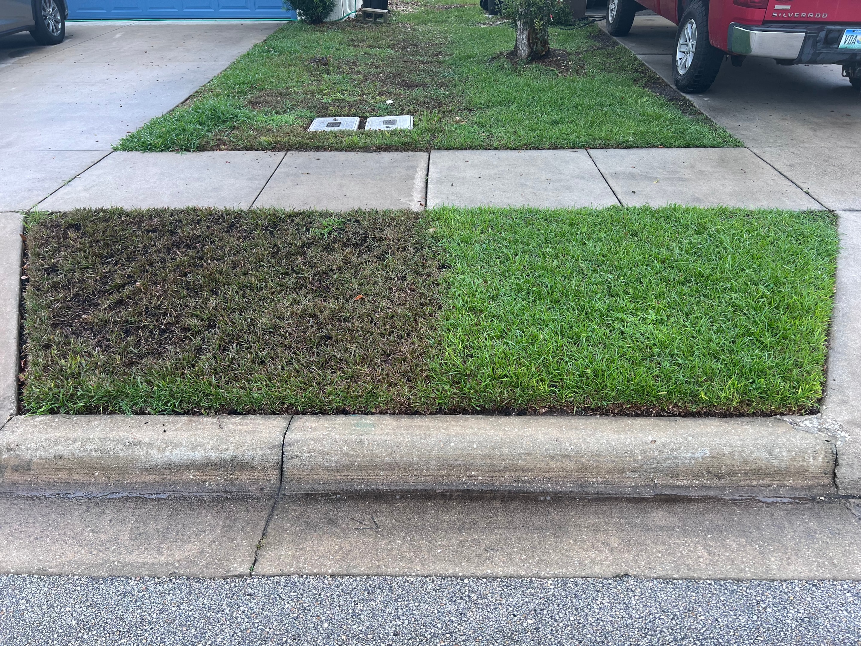 Omega fulvic acid being applied to a lawn in Florida