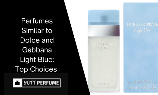 Perfumes Similar to Dolce and Gabbana Light Blue You’ll Love