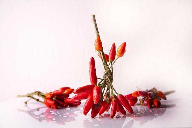 pregnant women can crave spicy food