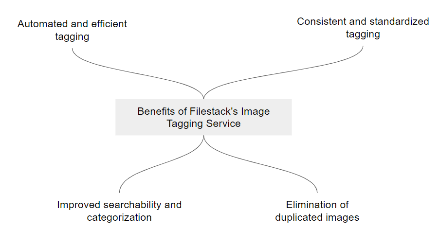Benefits of image tagging software 
