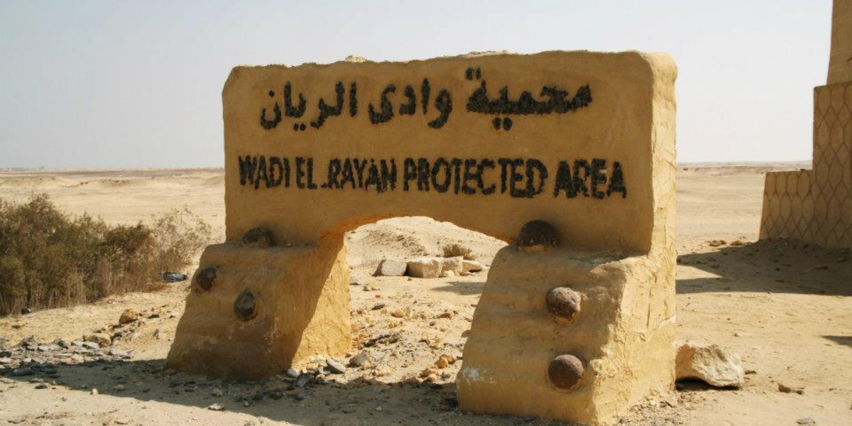 Wadi Rayan National Park
