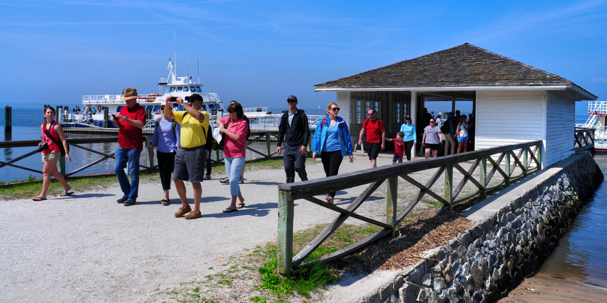 Cumberland Island National Seashore