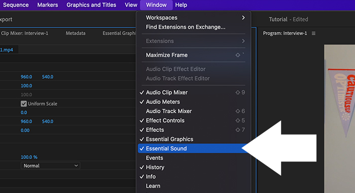 Audio Effects in Premiere Pro