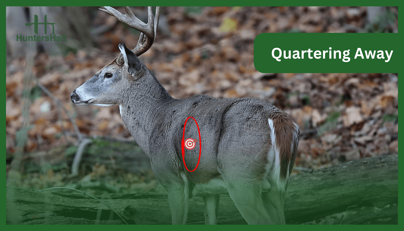 Deer quartering away