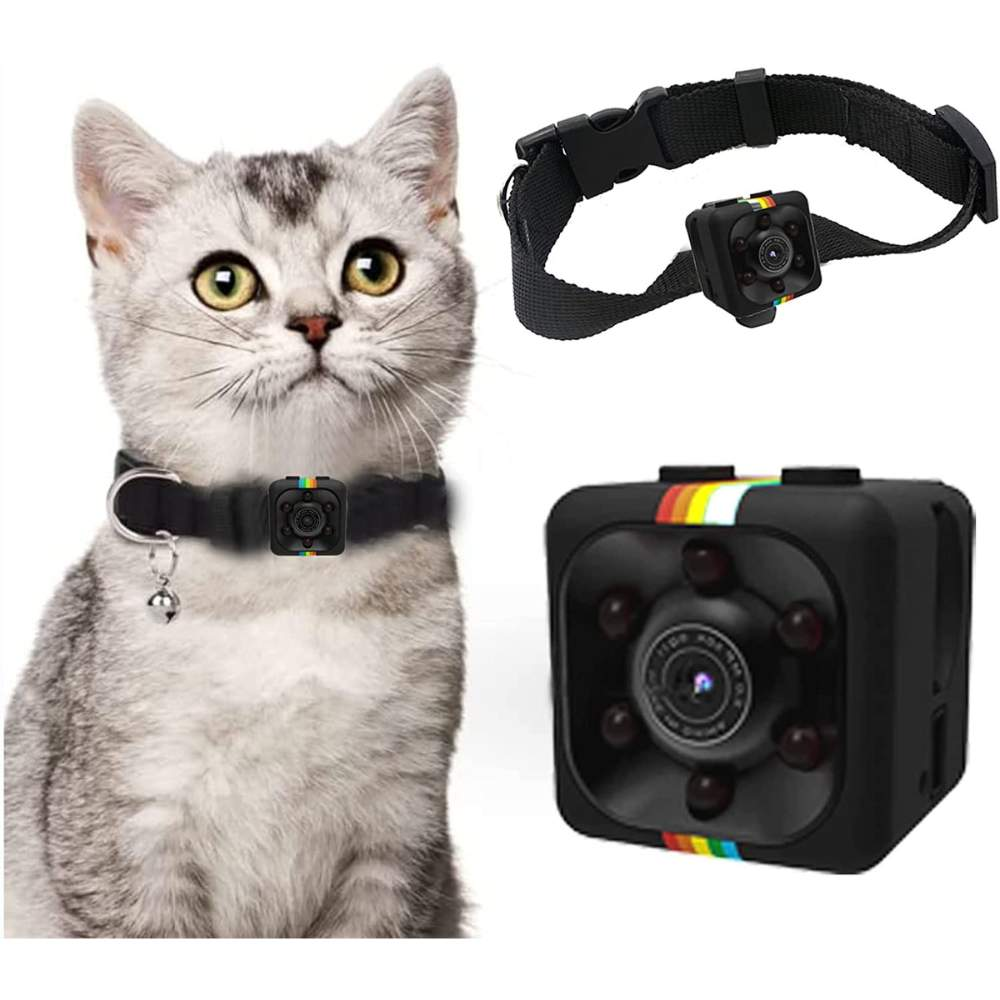 Discover the Best Cat Collar Camera for Capturing Your Feline's Adventures