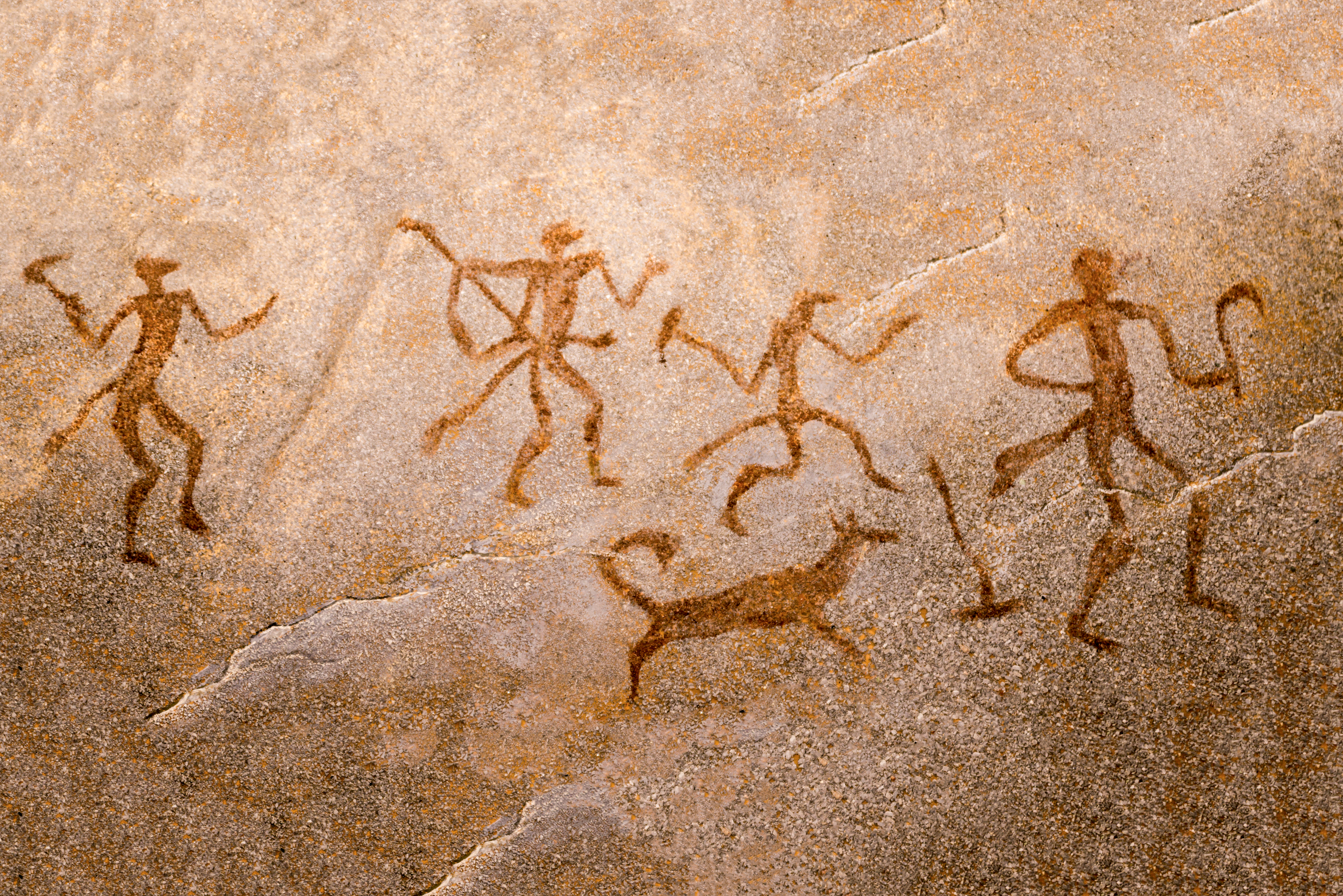 The history of dog breeding, prehistoric dogs on a cave wall