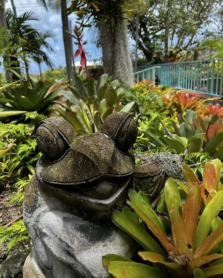 St. Kitts Garden Art,n Botanical Garden at Nevis