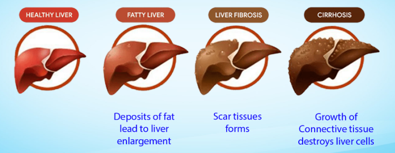 How does Triple Liver Health work?