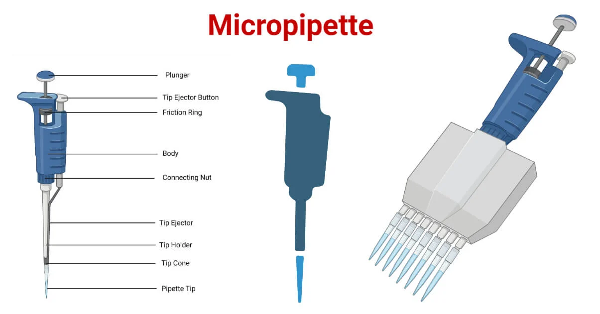 Illustration of selecting the right micropipette for a lab