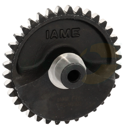 Illustration of iame balance shaft gear