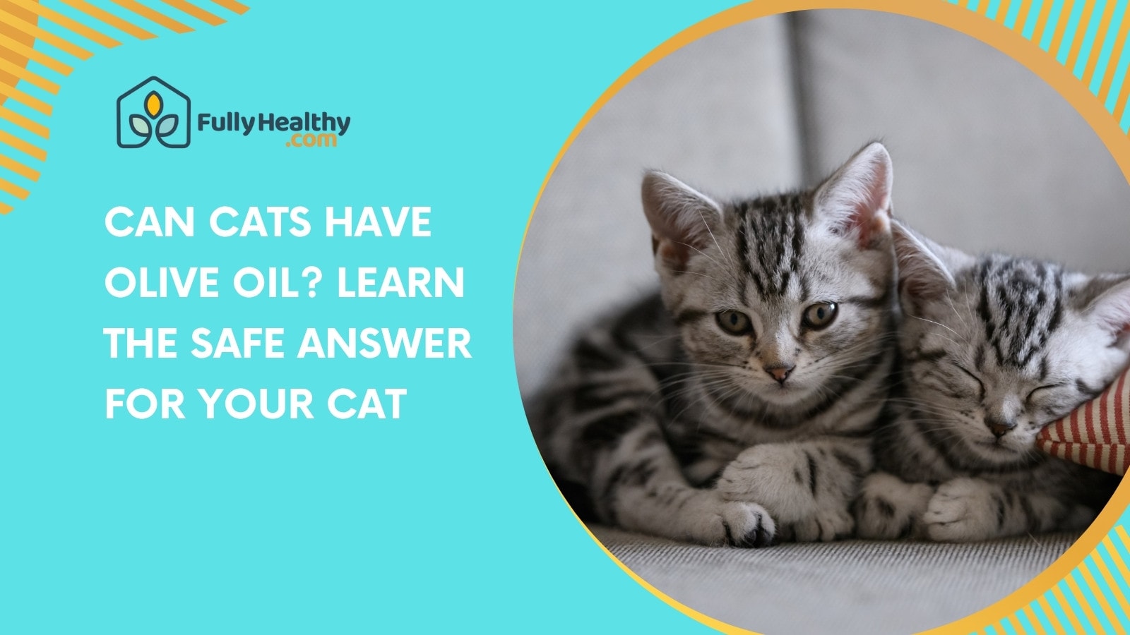 Can Cats Have Olive Oil? Learn the Safe Answer for Your Cat
