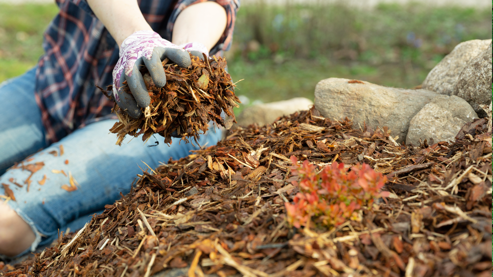 A person applying fresh mulch to a garden.