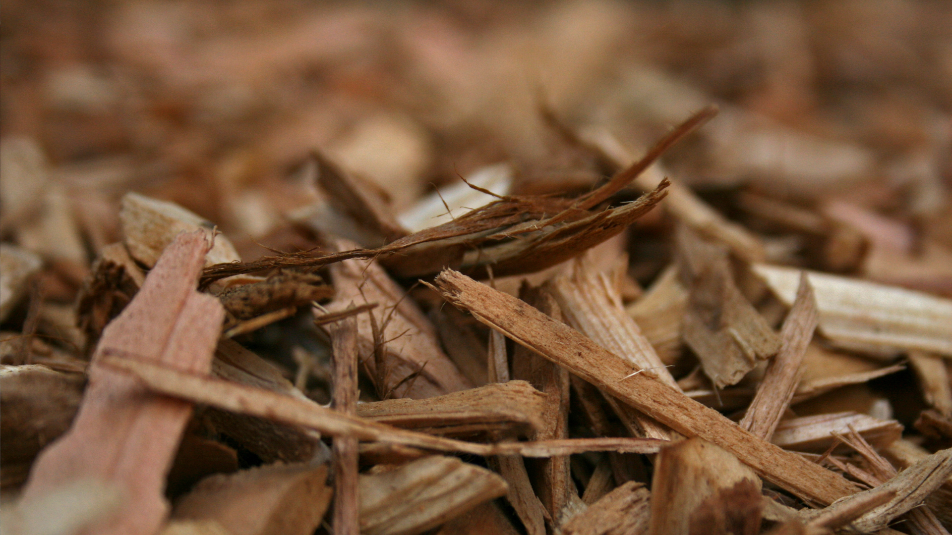 Shredded wood, an example of nitrogen rich materials sometimes used in compost.