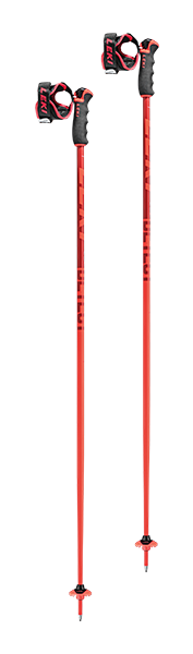 Best Ski Poles - Best Overall - Leki Detect S