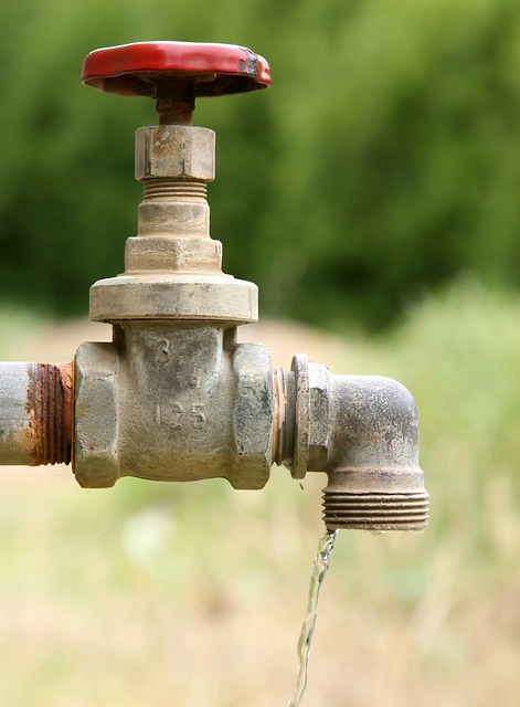 The Importance of Having an Outdoor Faucet - Maryland Sewer and ...