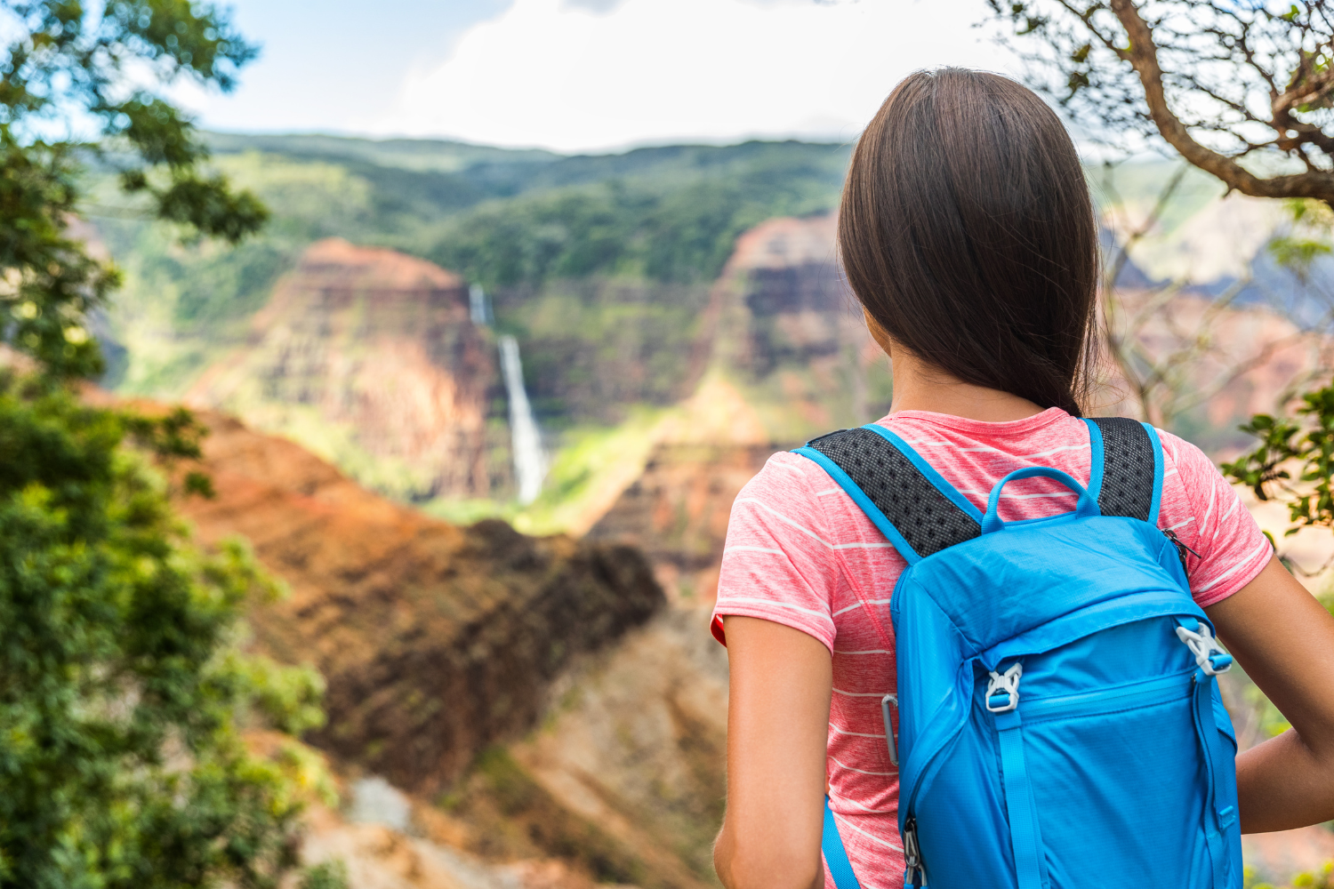 a woman wearing pink tshirt and a blue backpack watching the pu uka oku falls from a distance