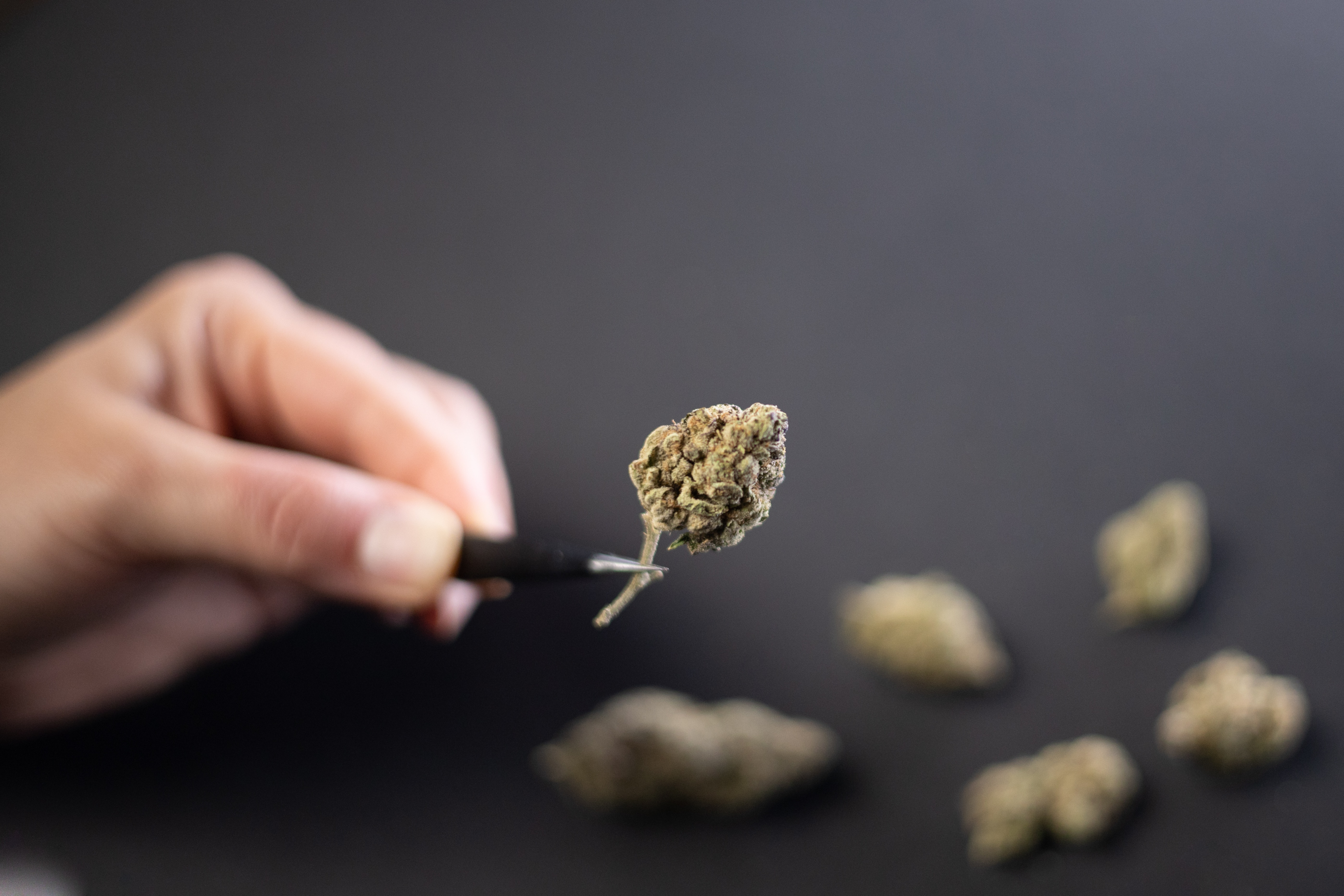When distributed, Marijuana Can Look Like Green-Grey Moss. Or a Brownish-Green Cluster of Brittle Leaves and Flowers