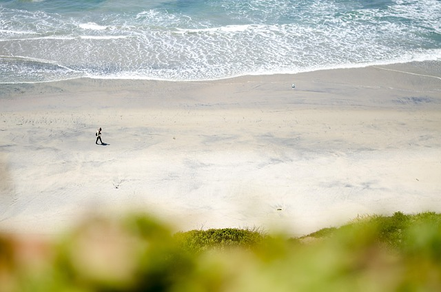 california, beach, san diego