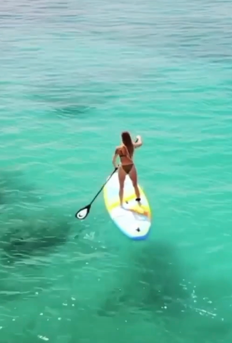 stand up paddle board ride   