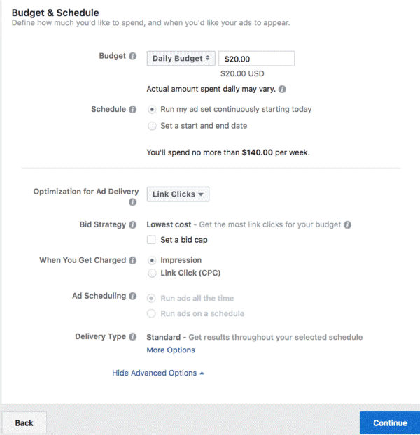 Setting a budget for a Facebook Ad campaign within the Facebook Ads manager.