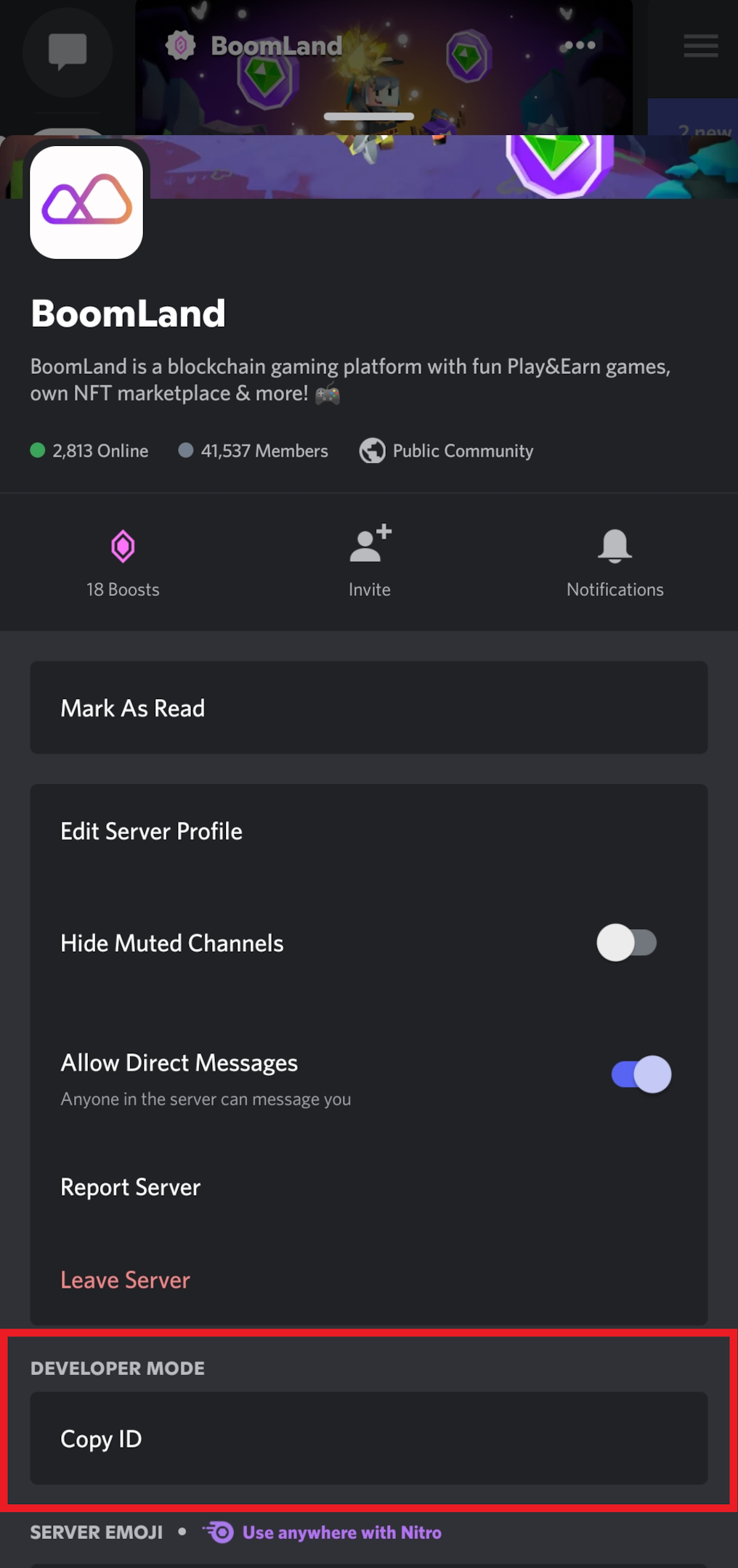 Discord copy server ID