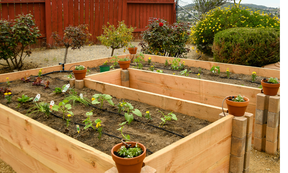 Wooden Raised Bed