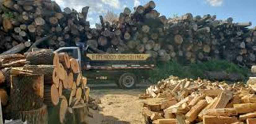 Maple firewood.