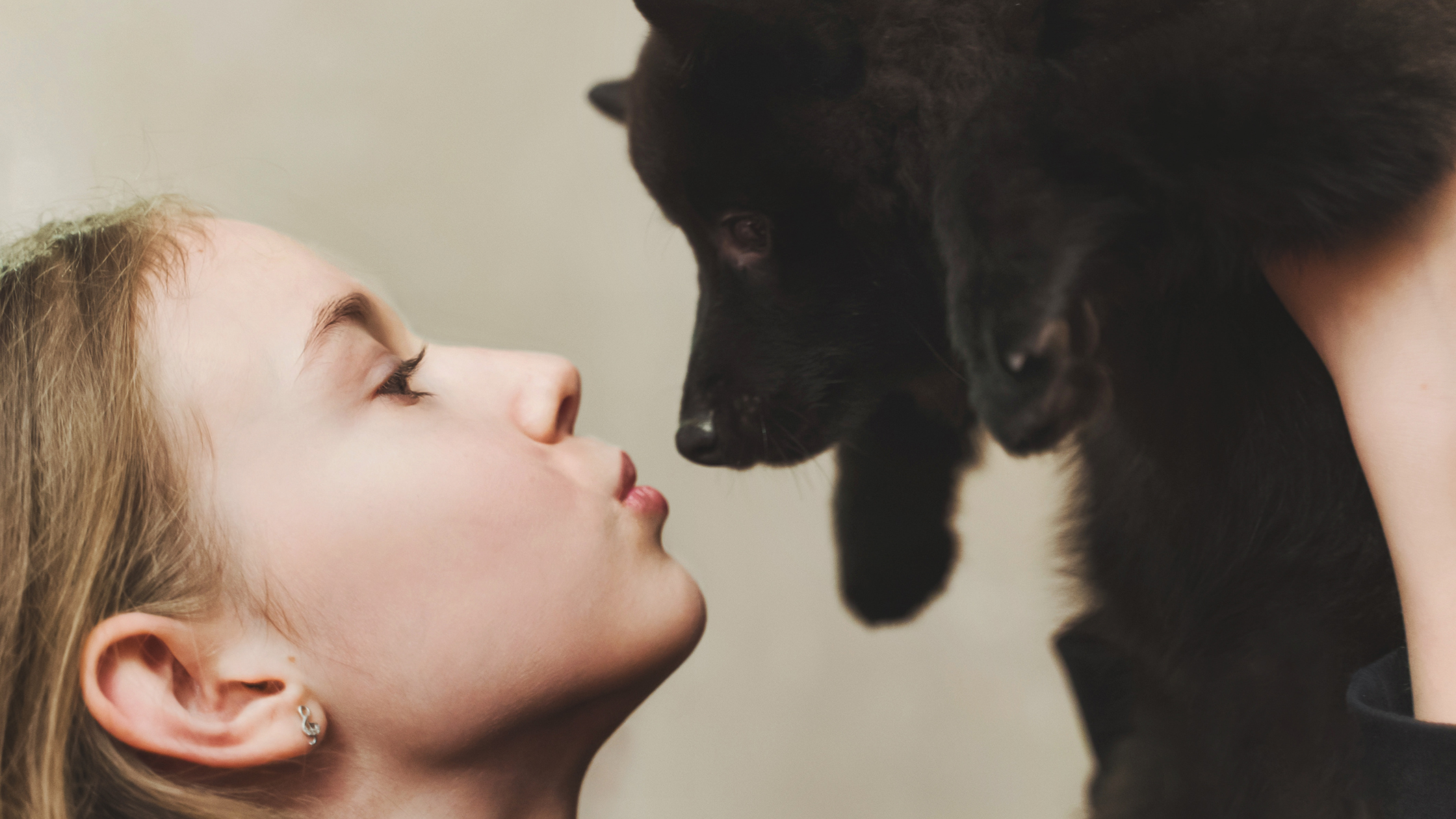 A child holding a Schipperke face to face