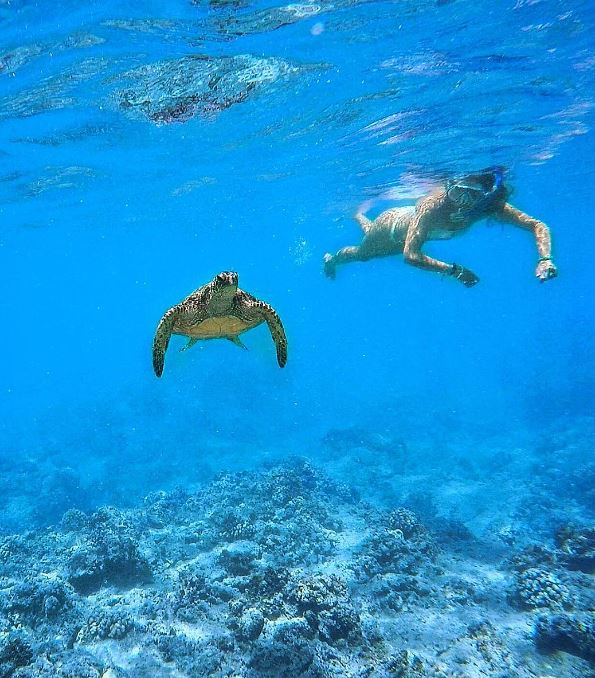 oahu hawaii near stairway to heaven