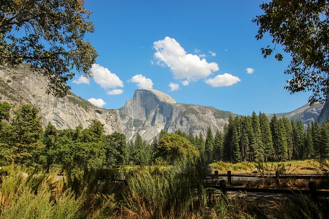 Hiking Half Dome in Yosemite National Park