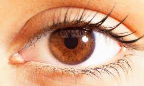 How your eyes betray your thoughts | Neuroscience | The Guardian