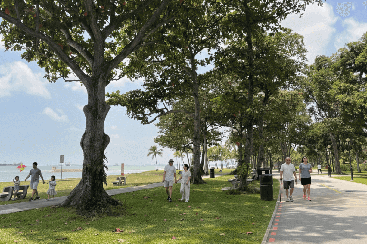 People walking along a tree-lined seaside park path on a sunny day.