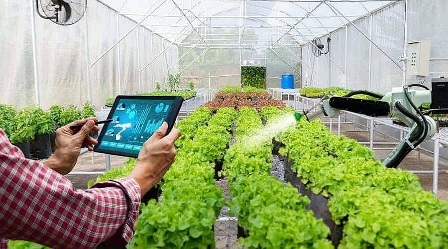 digital vs. traditional field signs