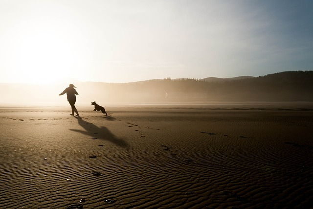 dog owner chasing dog