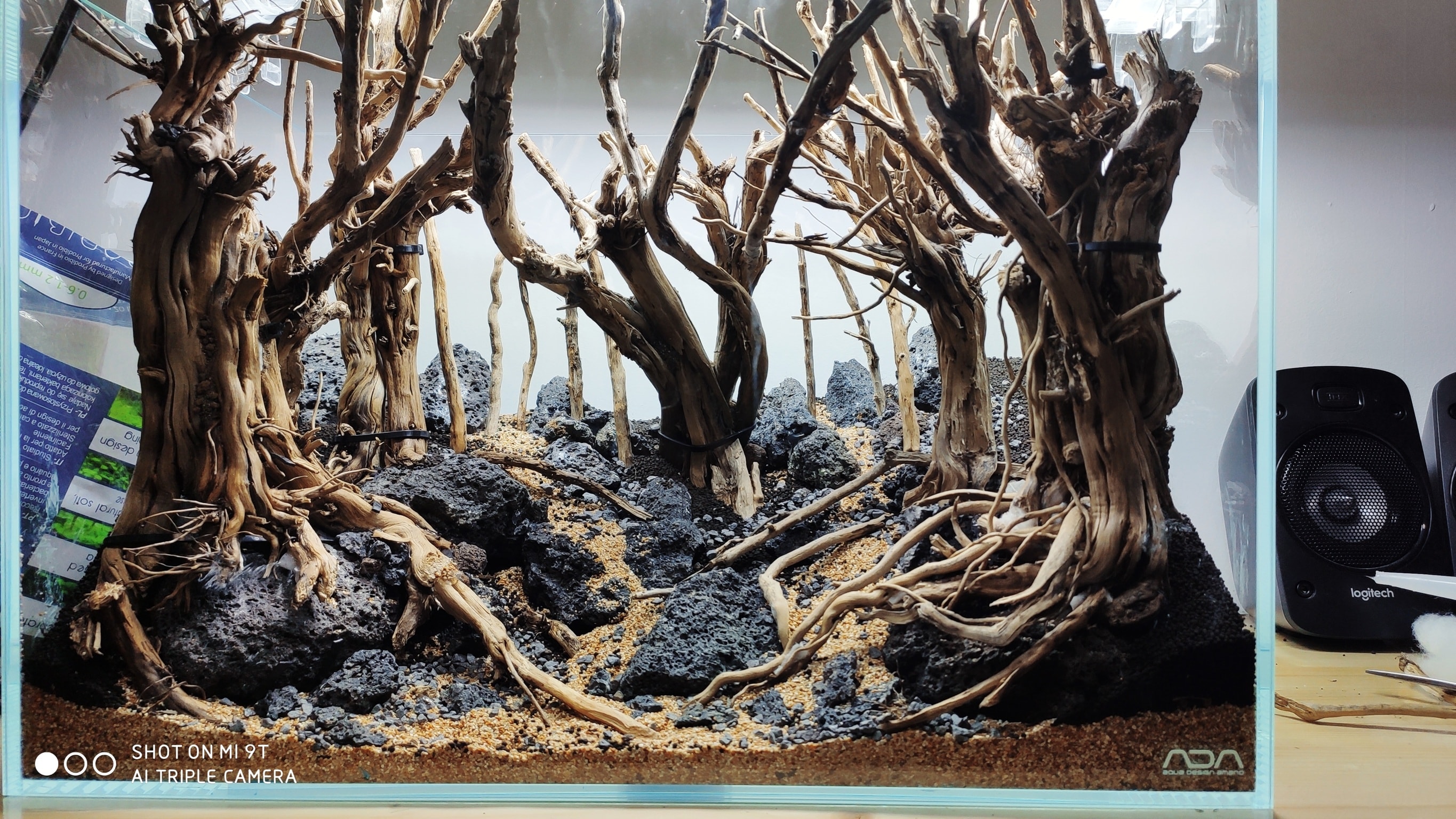 start with selecting right comination of hardscape and driftwood