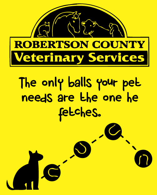 Veterinarian t shirt design ideas. Black ink really pops on yellow t-shirts -- it's an eye-catching print! 