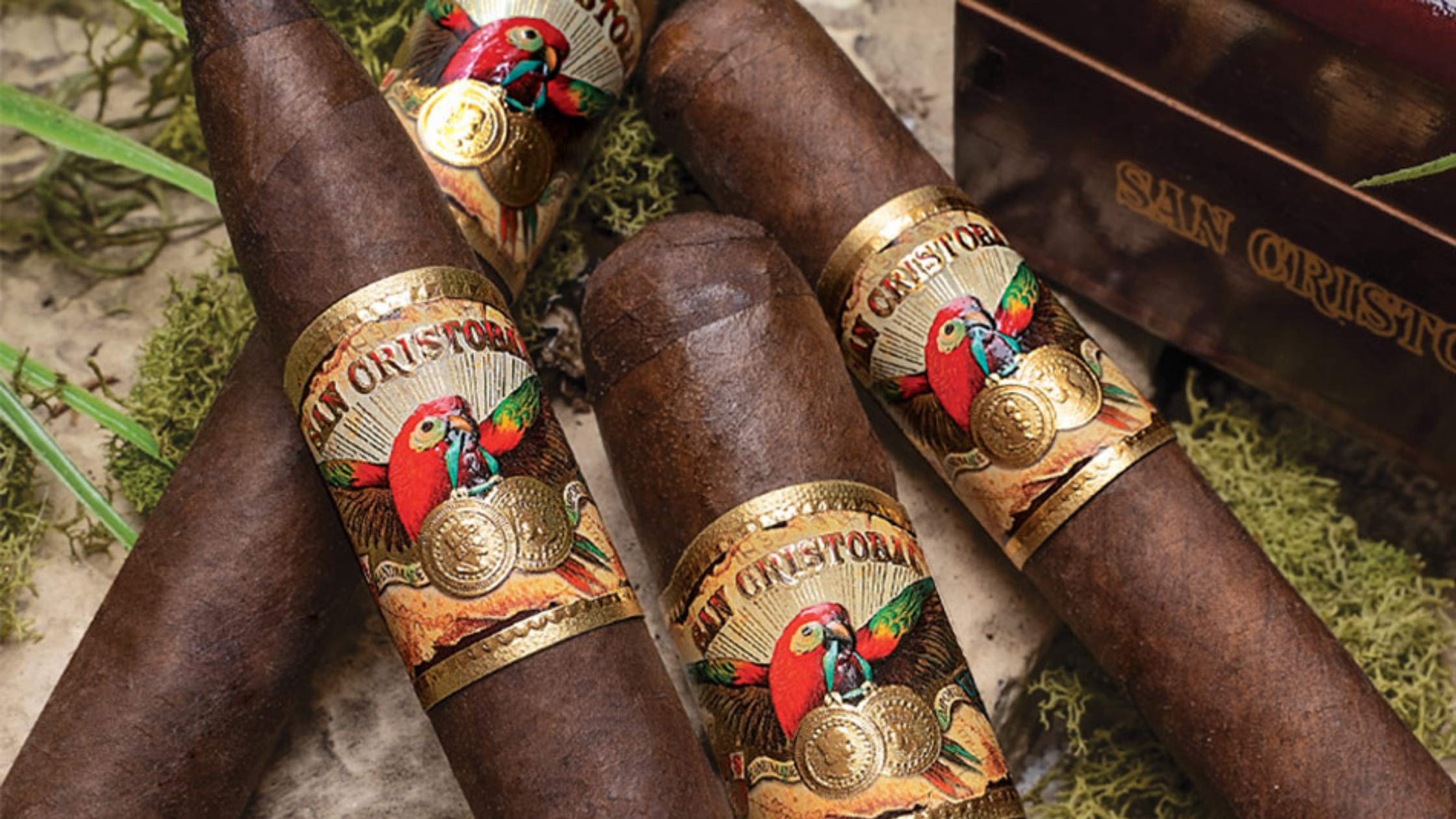 San Cristobal (Original)