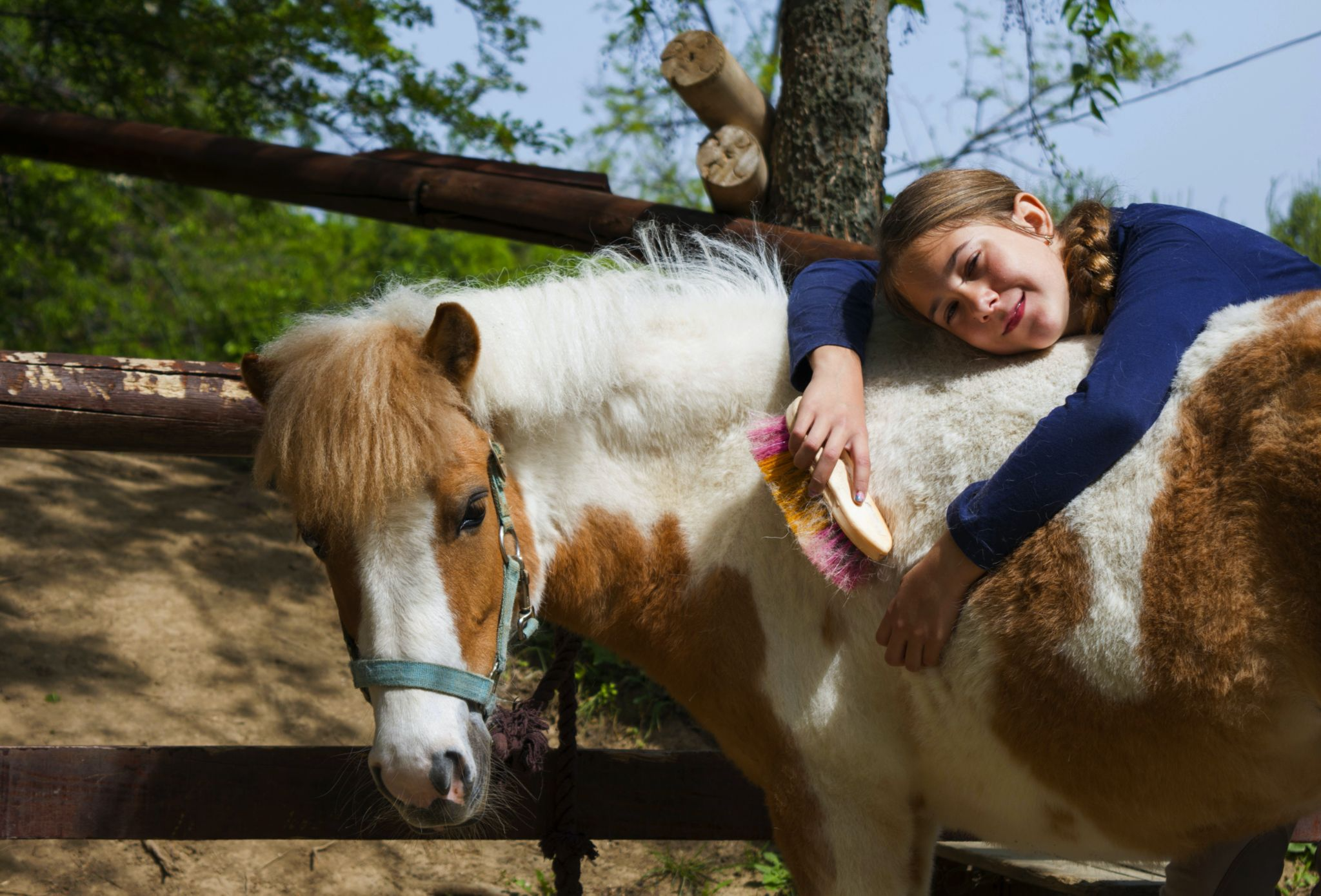 Child smiling and relaxing stomach-first over a horse's back with brush