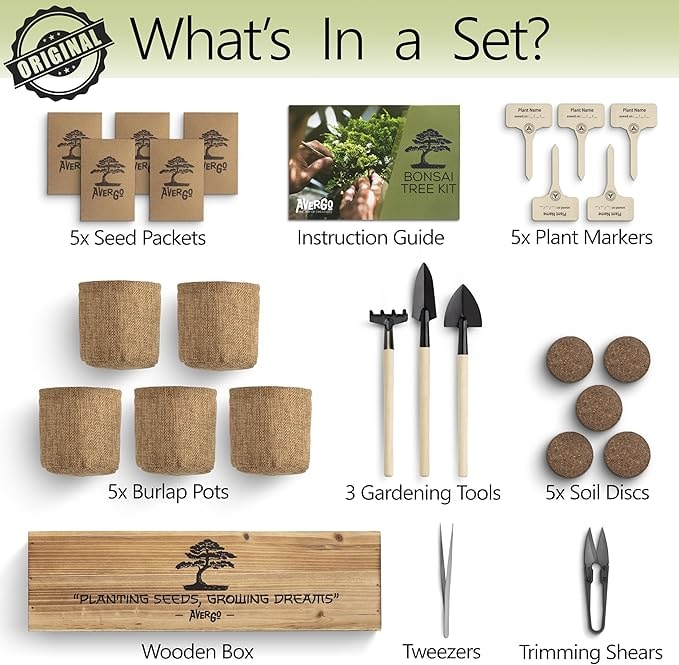 Bonsai Tree Kit