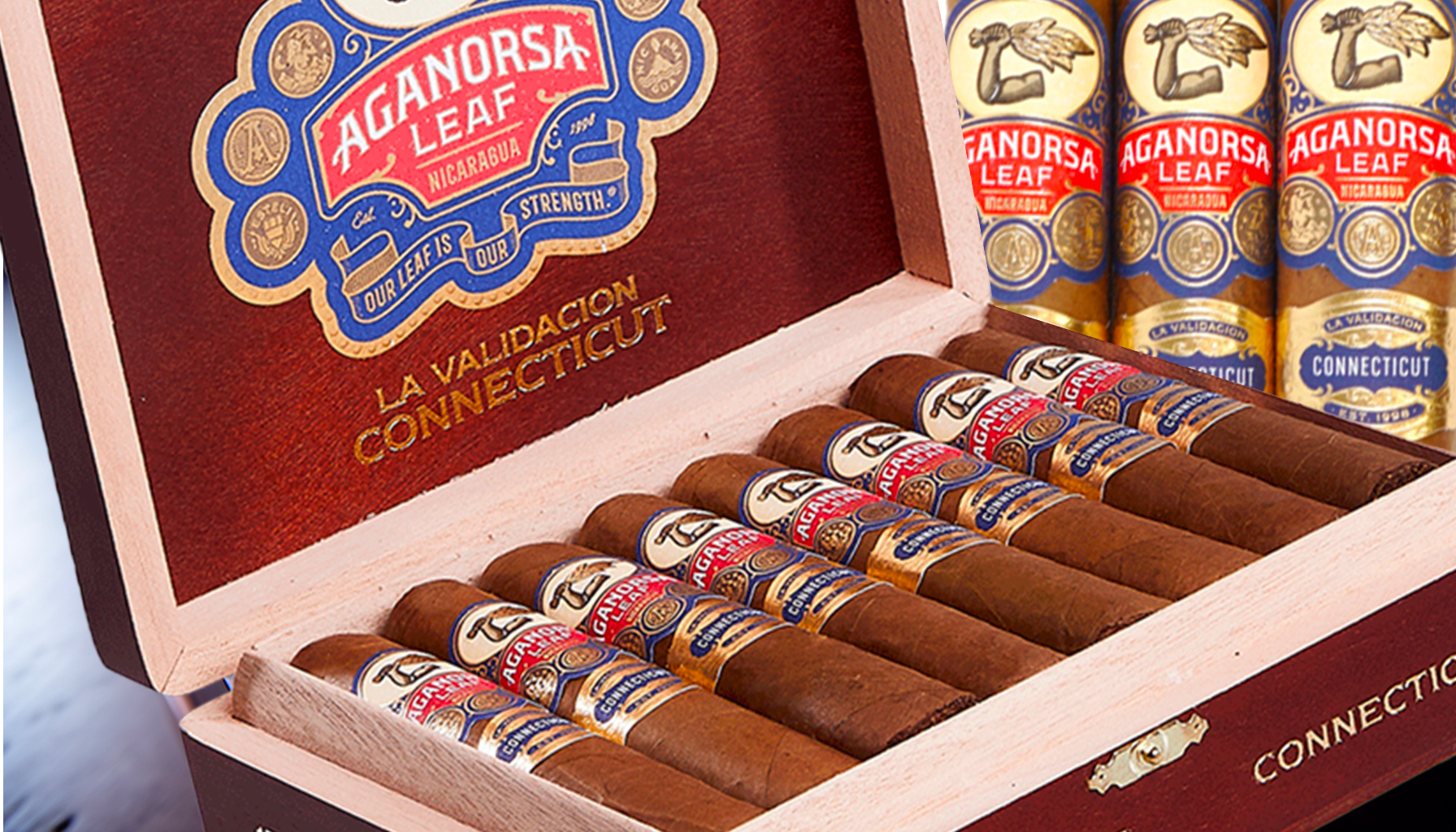 Selecting the perfect Aganorsa Leaf Validacion Connecticut cigar for your humidor
