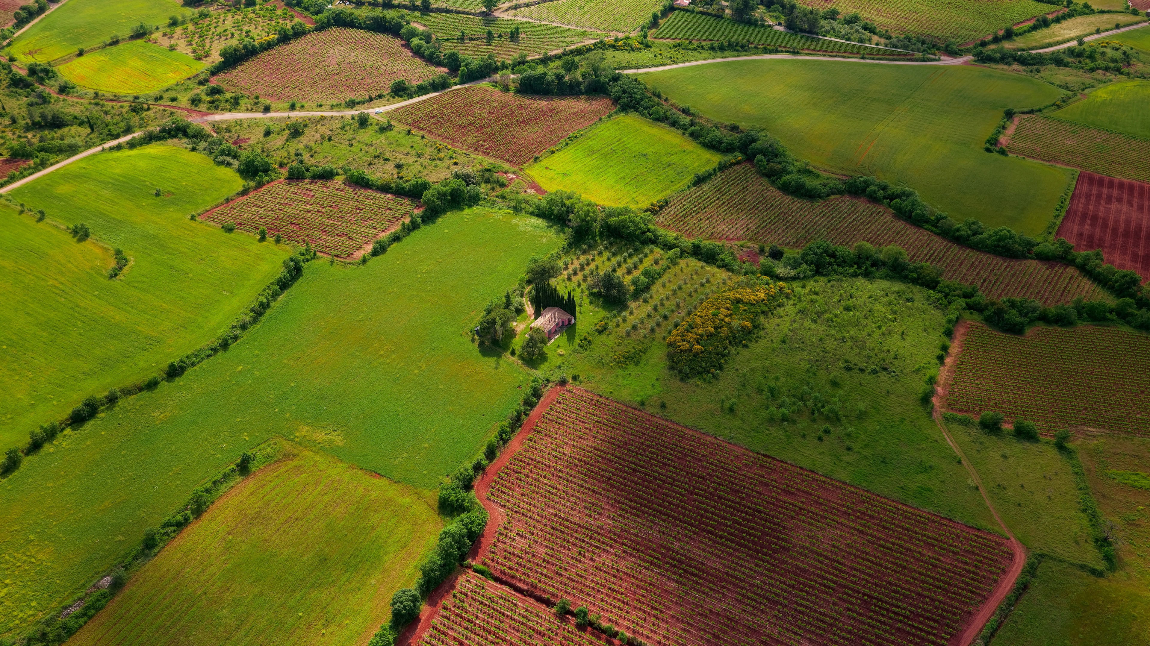 Aerial view of farmland that is being sold to a real estate investor.