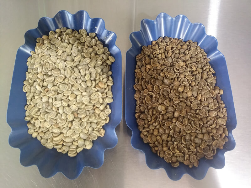 Water Processed Decaffeination change the coffee. Regular coffee on the left Mountain Water Decaf on the right.