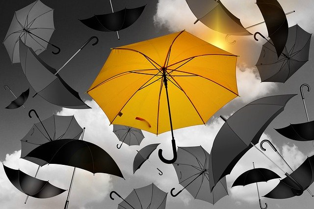 umbrella, yellow, black