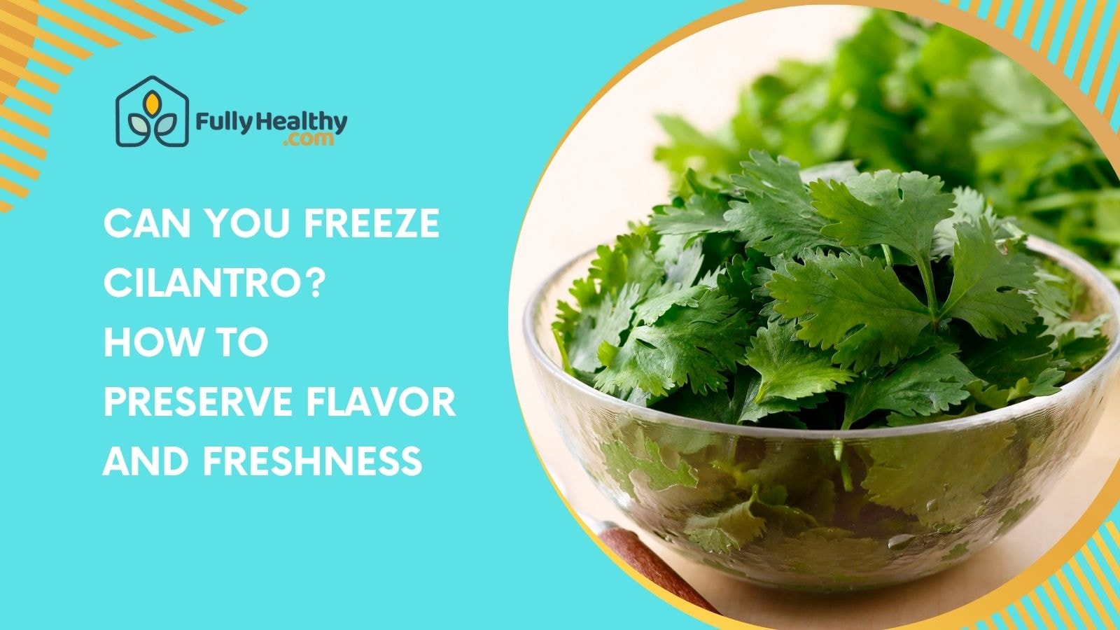 Can You Freeze Cilantro? How to Preserve Flavor and Freshness